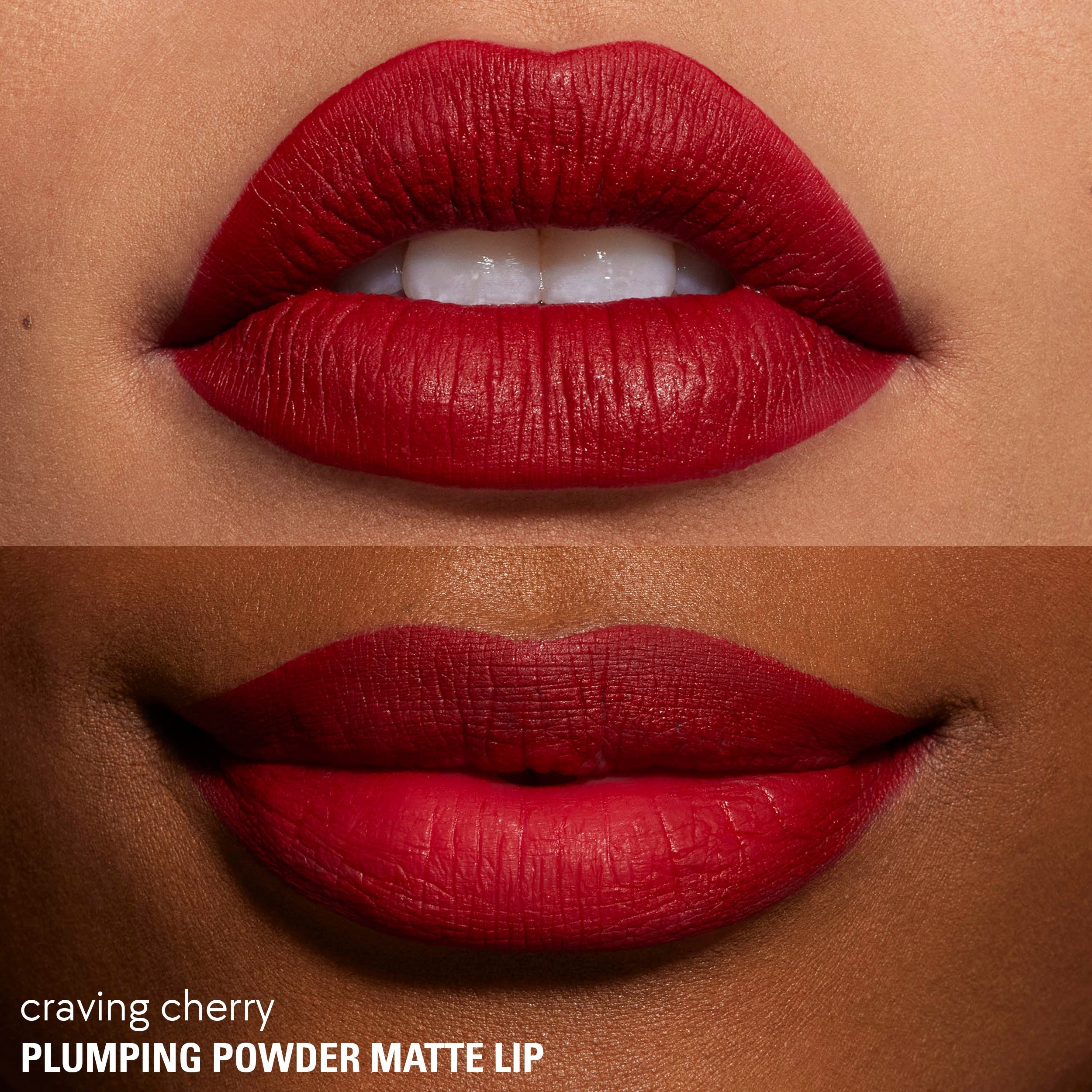 <Plumping Powder Matte Lip>|<KC810>