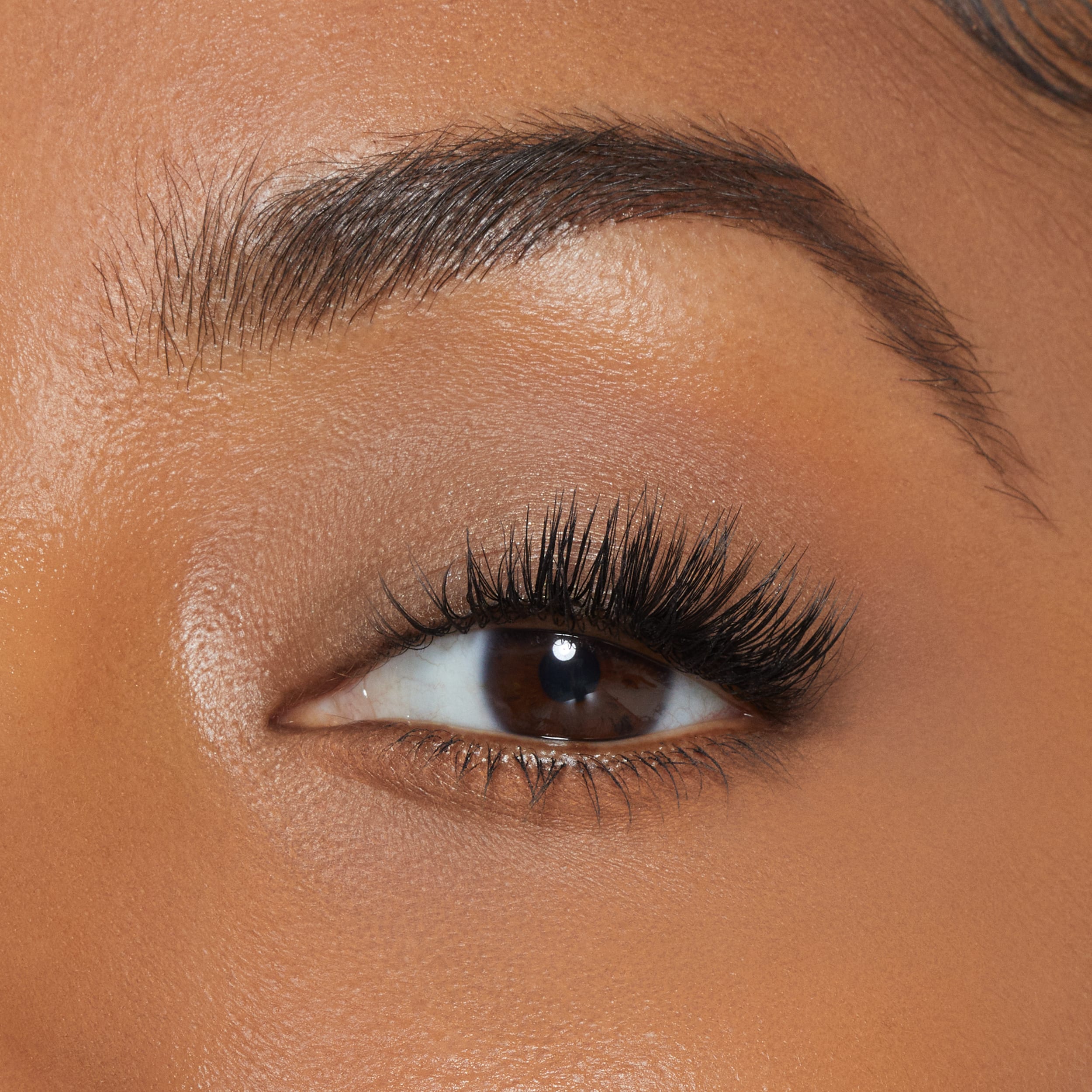 <Kylash False Lashes>|<KC421>